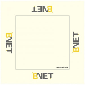 Tissu B-Net, 33 x 33 cm pour nettoyage